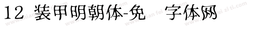 12 装甲明朝体字体转换